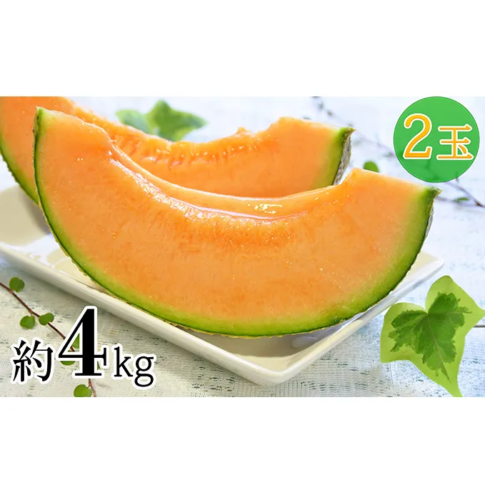 新しのつ産 赤肉メロン 2玉 果物類 フルーツ メロン赤肉 