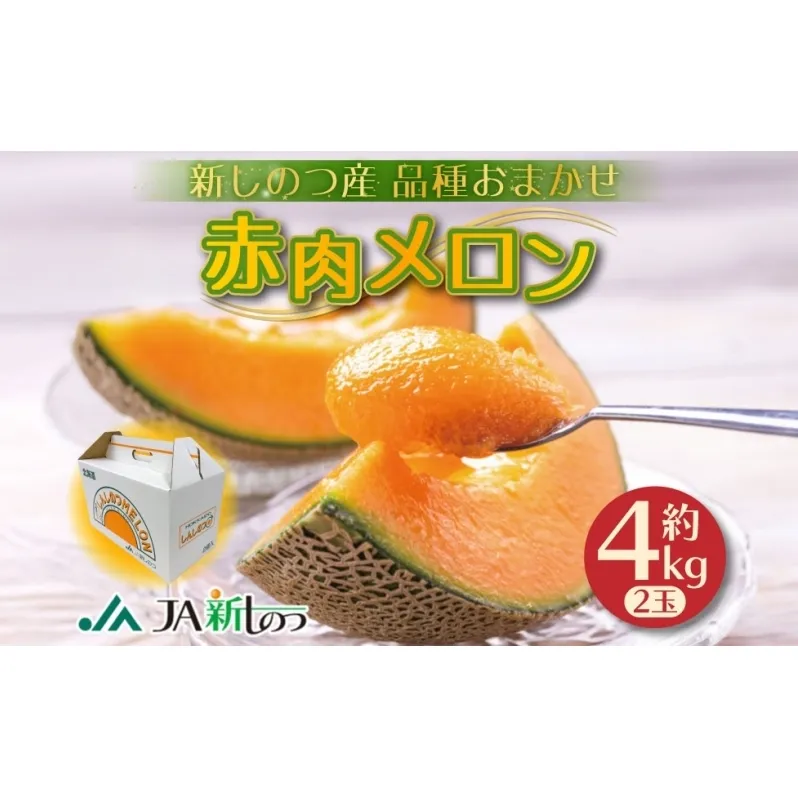 北海道 新しのつ産 赤肉メロン 2玉 約4kg メロン 果物 フルーツ 旬 季節 希少 甘い 豊潤 国産 デザート ご褒美 ギフト お祝い 贈答品 贈り物 産地直送 JA新しのつ 送料無料 新篠津