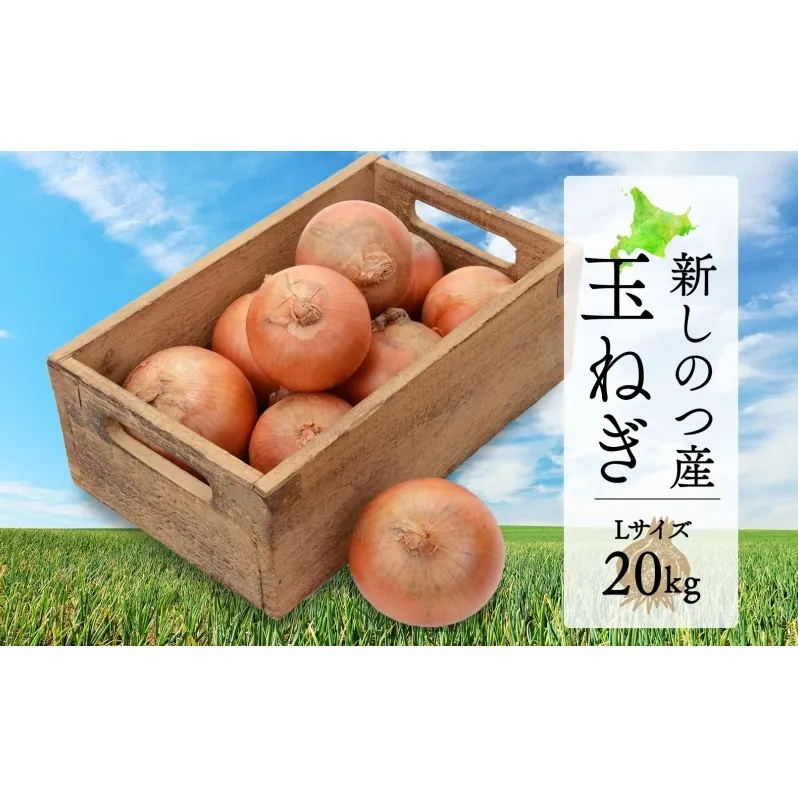 北海道 新しのつ産 玉ねぎ Lサイズ 約20kg オホーツク222 北もみじ2000 玉葱 たまねぎ タマネギ オニオン 旬 農作物 野菜 サラダ カレー 肉じゃが 長期保存 送料無料 