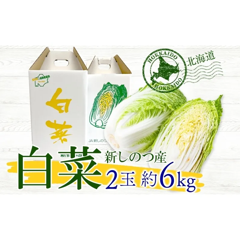 北海道 新しのつ産 白菜 2玉 約6kg ハクサイ 農作物 野菜 葉物野菜 葉物 冬野菜 旬 国産 北海道産 生 甘い ヘルシー 漬物 鍋 鍋料理 煮込み料理 キムチ シャキシャキ 産地直送 お取り寄せ 産直 冷蔵 送料無料 