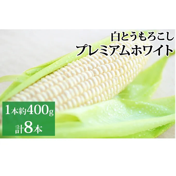 新しのつ産 とうもろこし「プレミアムホワイト」 2L 8本 野菜 