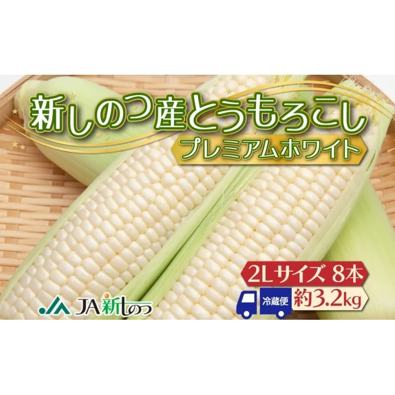 北海道 新しのつ産 とうもろこし プレミアムホワイト 2L 8本 白 トウモロコシ とうきび コーン 旬 野菜 甘い お取り寄せ 国産 人気 BBQ JA新しのつ 送料無料 新篠津 
