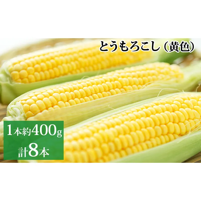 新しのつ産 とうもろこし (黄色) 2Lサイズ 8本 野菜 
