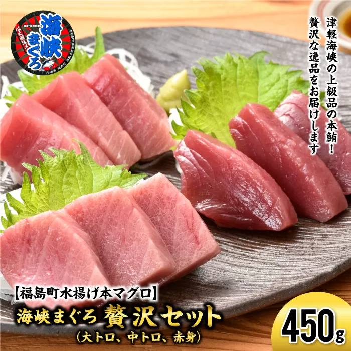 【先行予約】北海道福島町 水揚げ 本マグロ 「海峡まぐろ」 贅沢セット（大トロ・中トロ・赤身） FKO013