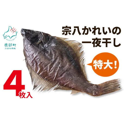 【数量限定】【緊急支援品】宗八かれいの一夜干し 4枚入 冷凍 カレイ 北海道 事業者支援 中国禁輸措置 カレイ かれい 一夜干し 干物
