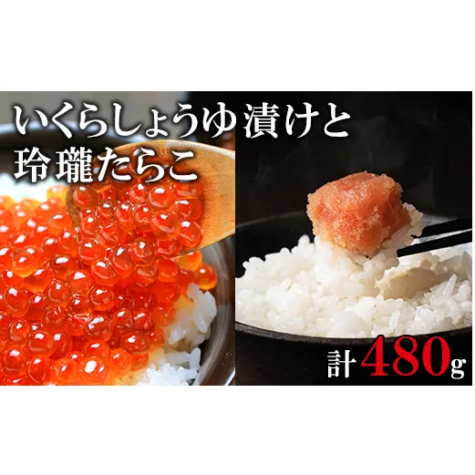 北海道産いくら240g 玲瓏たらこ240g 丸鮮道場水産 小分け 食べ切り 食べきり しょうゆ漬け いくら イクラ 醤油いくら たらこ タラコ 無着色