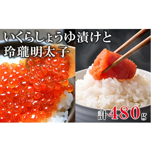 【北海道産】いくら240g 玲瓏明太子240g 丸鮮道場水産 小分け 食べ切り 食べきり 送料無料 いくら イクラ 醤油いくら