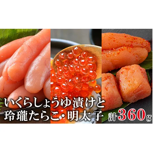 北海道産いく120g 玲瓏たらこ120g 玲瓏明太子120g 丸鮮道場水産 小分け 食べきり 食べ切り