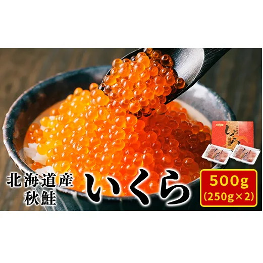 【2024年新物】北海道産いくら 500g（250g×2パック）小分け