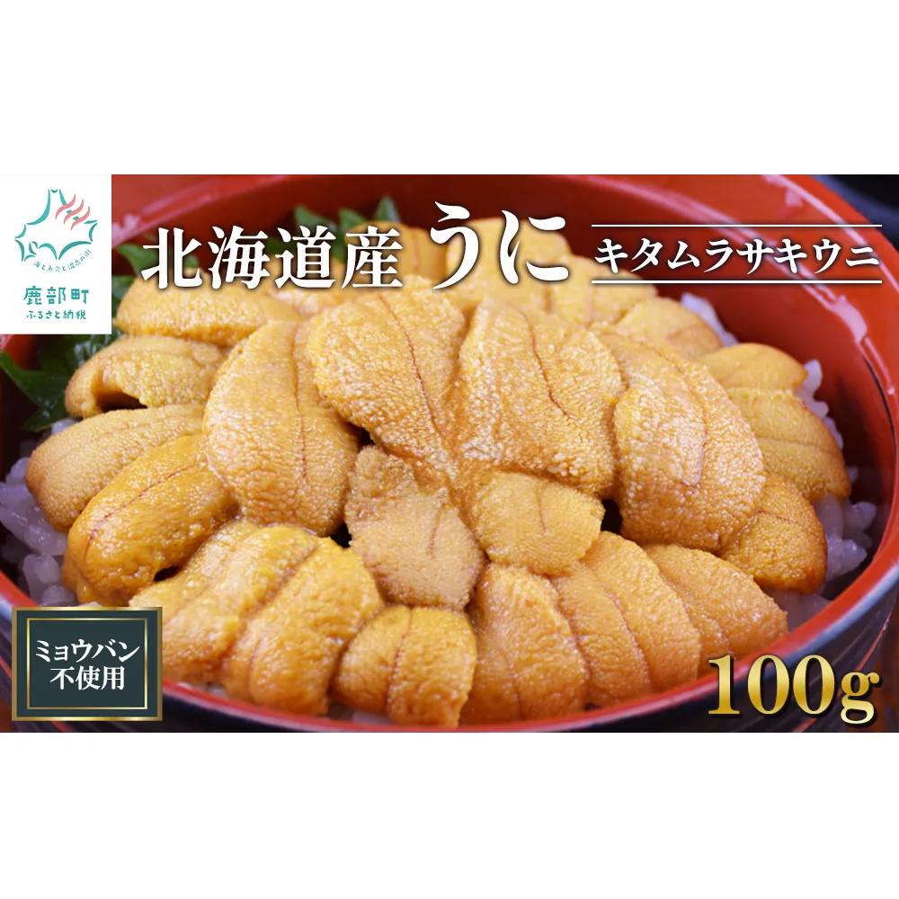 北海道産 うに キタムラサキウニ 100g ミョウバン不使用 ふり塩うに 冷凍保存