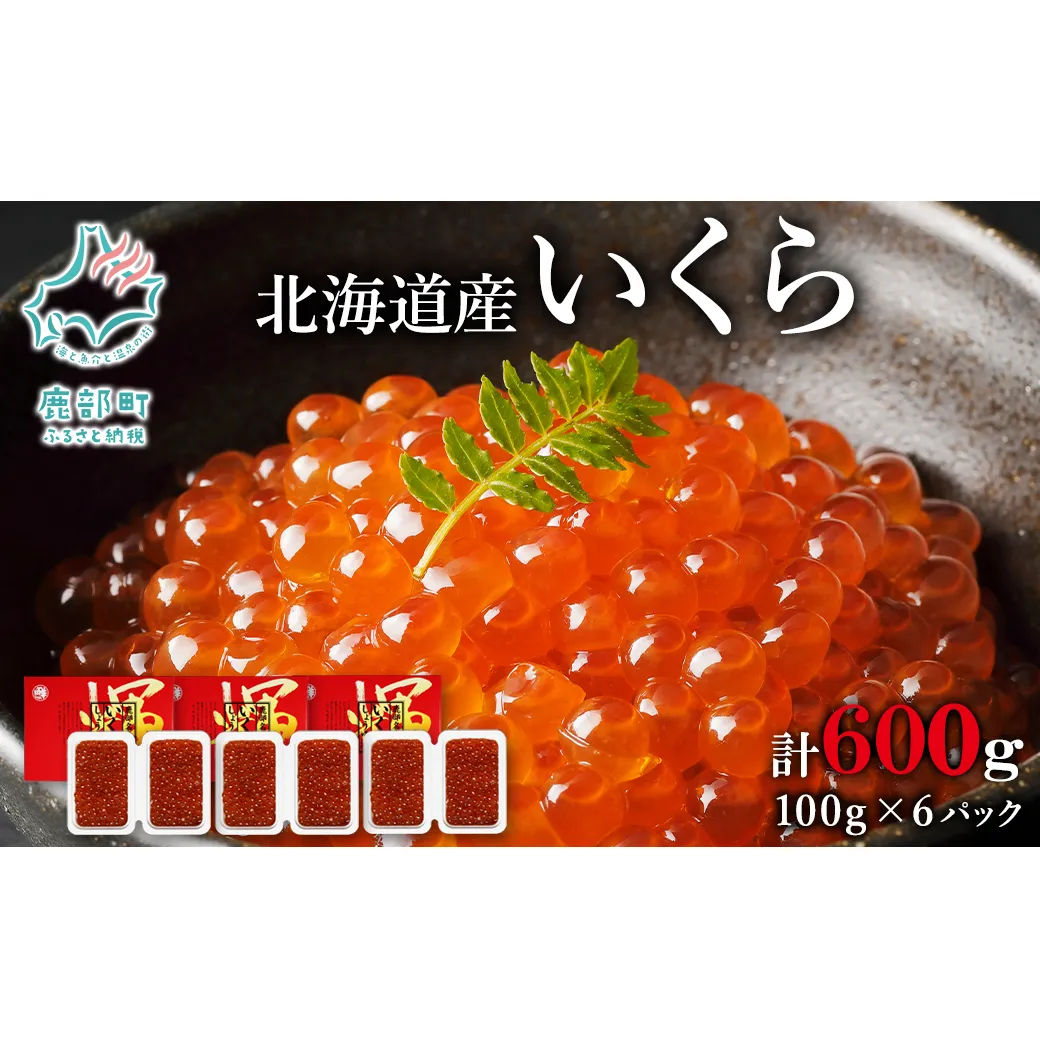 【小分けで便利！】北海道産いくら 600g（100g×6パック）しょうゆ漬け 丸鮮道場水産 小分け 食べきり いくら イクラ 醤油いくら