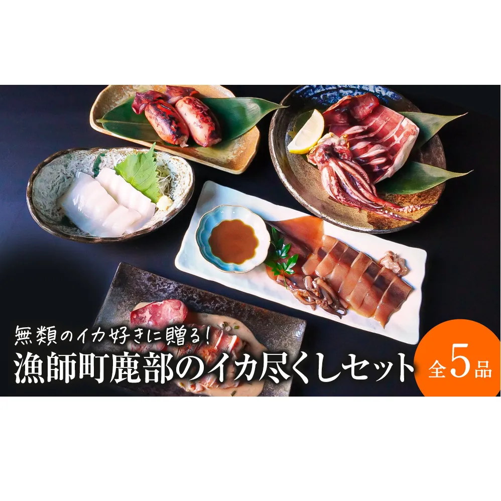 【2026年1月下旬発送】訳あり 漁師町鹿部のイカ尽くしセット 全5品いか イカ 詰め合わせ セット