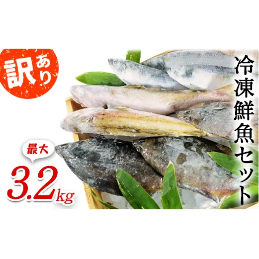 【2024年8月発送】北海道産 冷凍鮮魚セット 最大3.2kg 「漁師応援プロジェクト！」 下処理済み 冷凍 鮮魚 海鮮 海産 地元