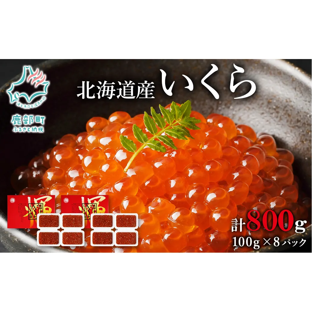 【小分けで便利！】北海道産いくら800g（100g×8）しょうゆ漬け 丸鮮道場水産 食べ切り いくら丼 手巻き寿司 小分け 送料無料