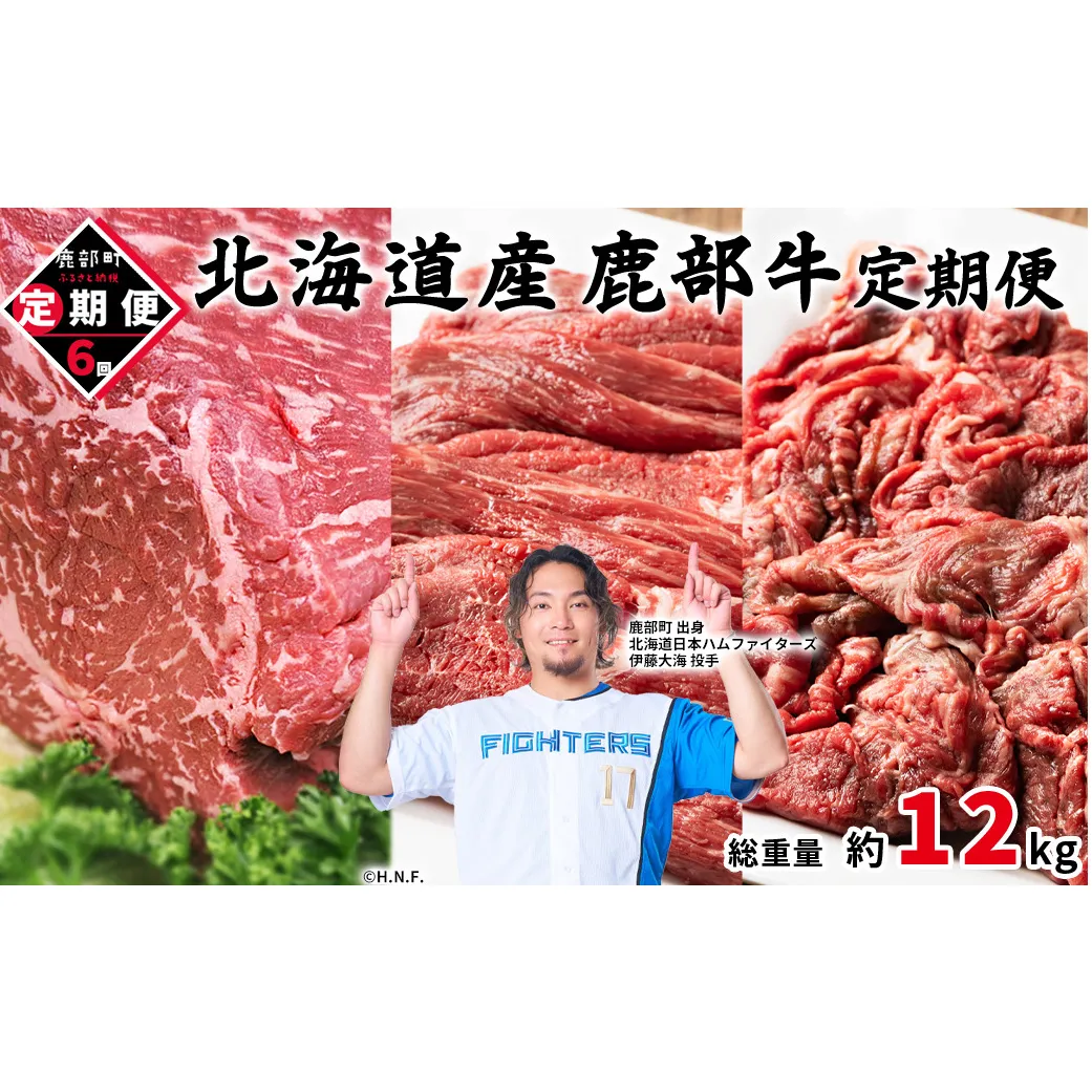 【定期便】北海道産 牛モモ肉ブロック500g 牛モモ肉680g 牛切り落とし800g 全6回 毎月お届け 鹿部牛 肉 赤身肉