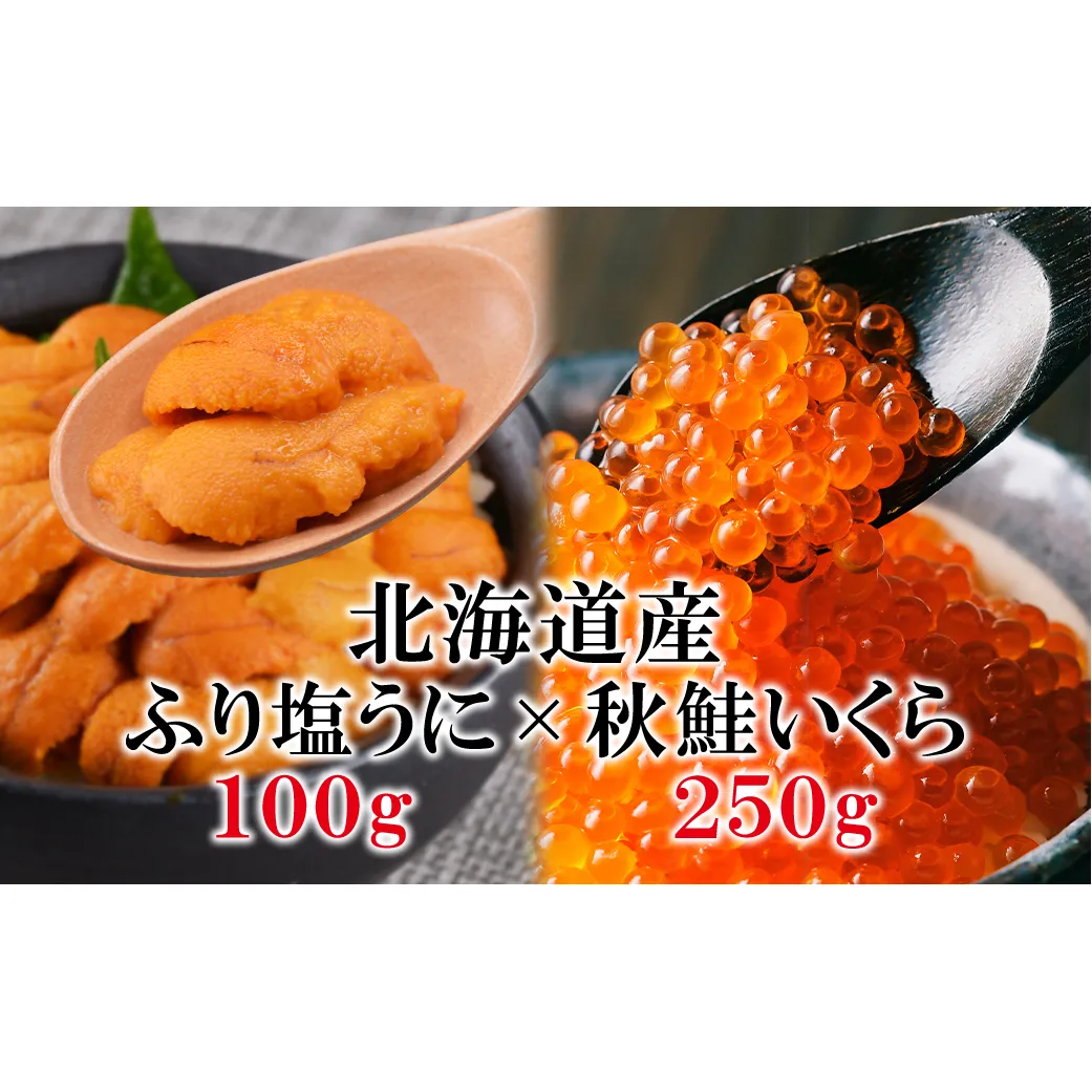 北海道産 ふり塩うに（エゾバフンウニ）100g いくら醤油漬け 250g うにいくら丼 冷凍保存 事業者支援