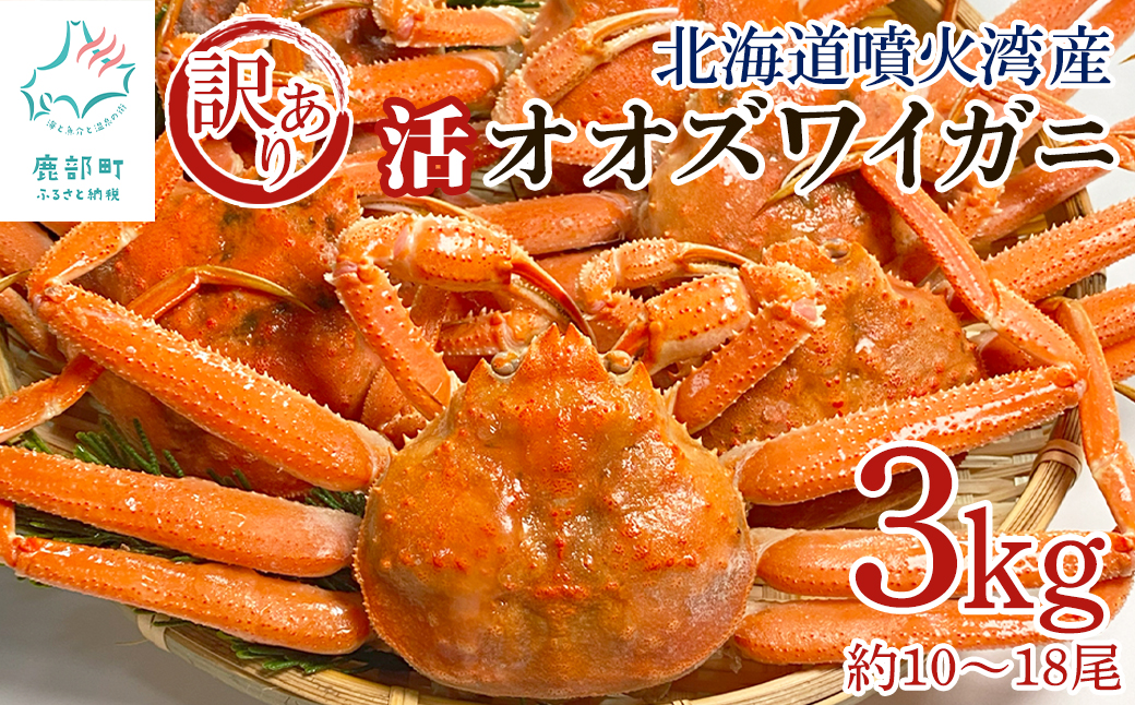 楽天市場】訳ありオオズワイ蟹 3kg詰め（9〜15尾入り）セット