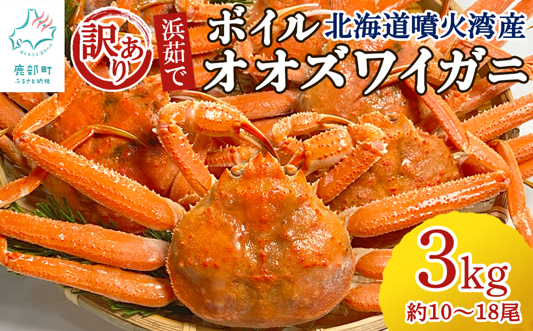 訳あり】北海道産 ボイルオオズワイガニ 3kg 約10～18尾 かに 蟹 ず