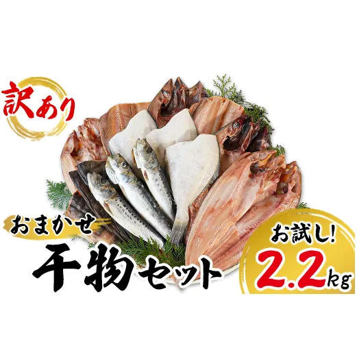 【2026年1月下旬発送】訳あり 干物 詰め合わせセット 2.2kg 真ホッケ 縞ホッケ サバ イワシ 北海道