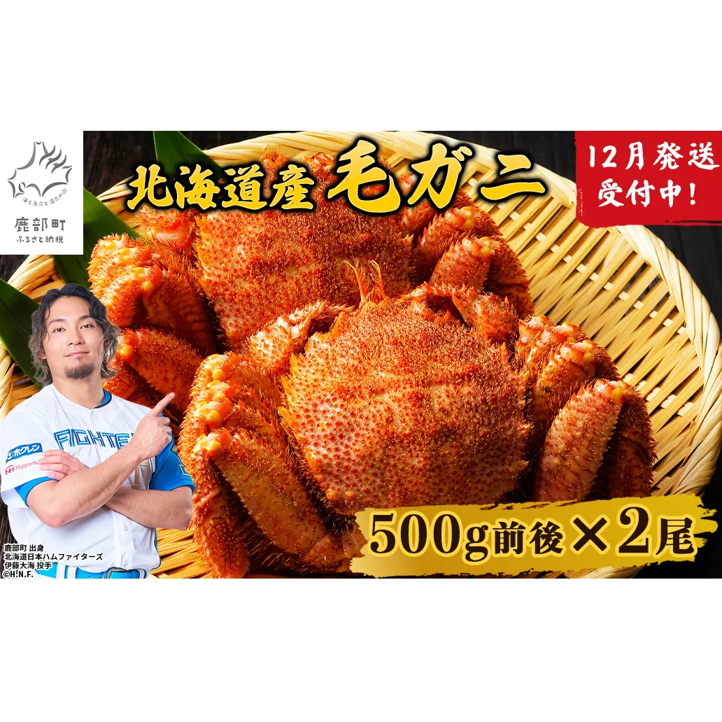 【2026年12月発送】北海道産  ボイル毛蟹 約1kg（500g前後×2尾）蟹 カニ 冷凍
