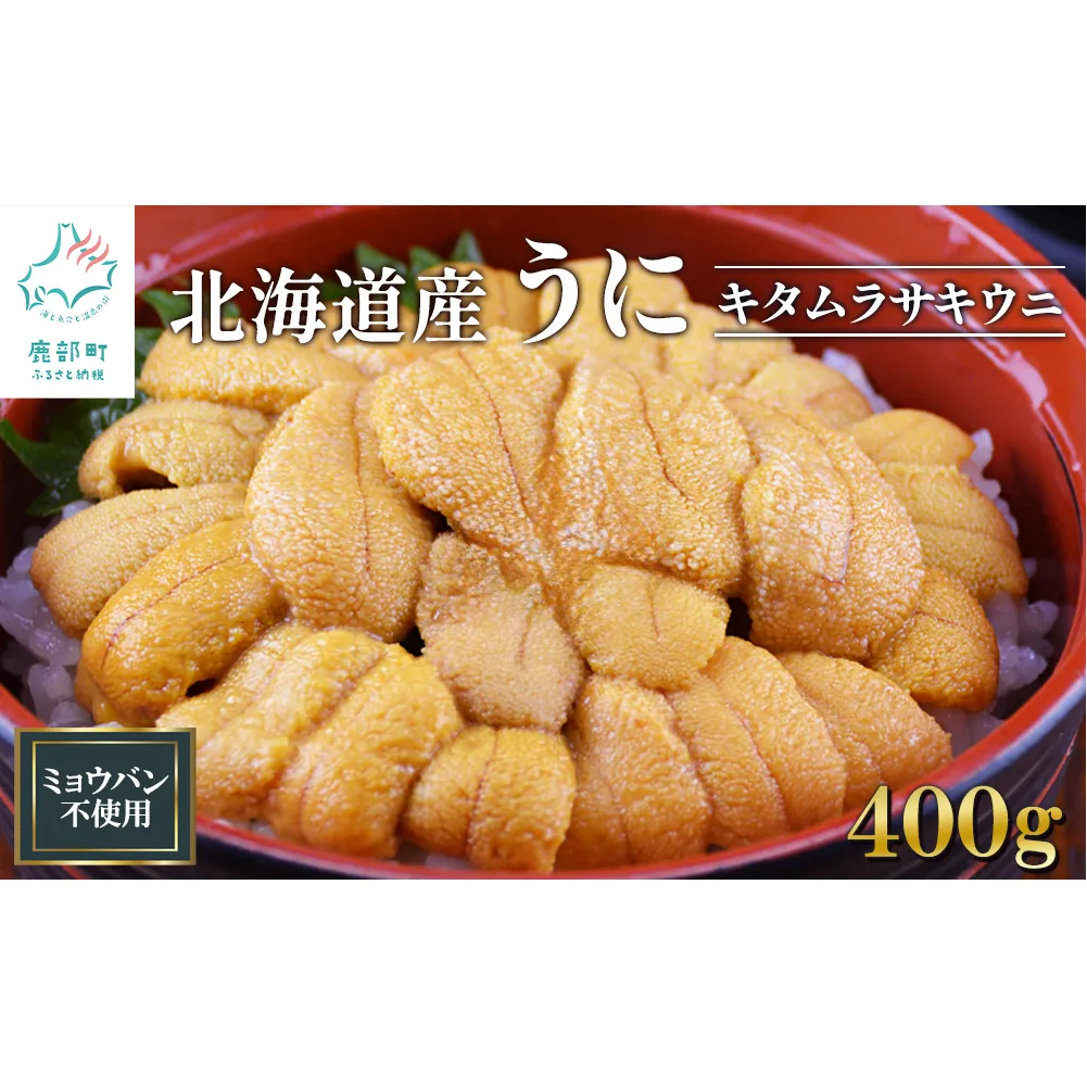北海道産 うに キタムラサキウニ 400g (100g×4) ミョウバン不使用 ふり塩うに 冷凍保存