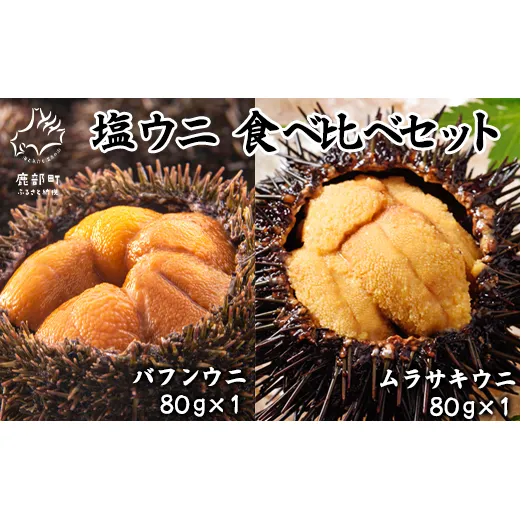 塩うに 食べ比べセット 80g×2P バフンウニ ムラサキウニ ミョウバン不使用 塩蔵うに 北海道 ご飯のお供