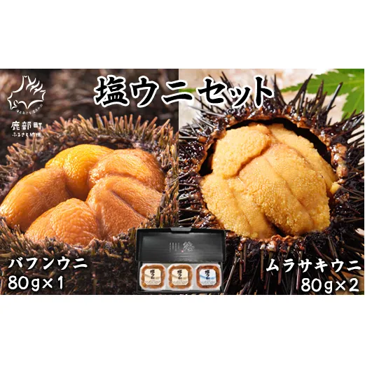 塩うに 計240g バフンウニ×1パック ムラサキウニ×2パック ミョウバン不使用 塩蔵うに ご飯のお供 ギフトセット