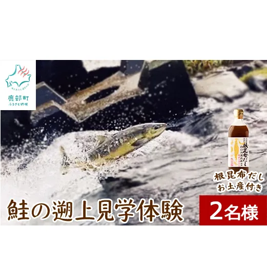 【お土産付き】鮭の遡上見学体験 2名様分 根昆布だし お土産付き 道の駅しかべ間歇泉公園 入園券付 旅行 観光 体験 送料無料