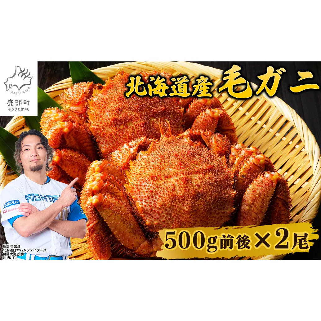 【順次発送】北海道産 ボイル毛蟹 約1kg（500g前後×2尾）蟹 カニ 冷凍