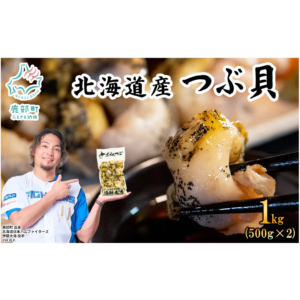 北海道鹿部町産 前浜ボイルつぶ１kg（500g×2袋） 刺身 不揃い つぶ ツブ ツブ貝 つぶ貝