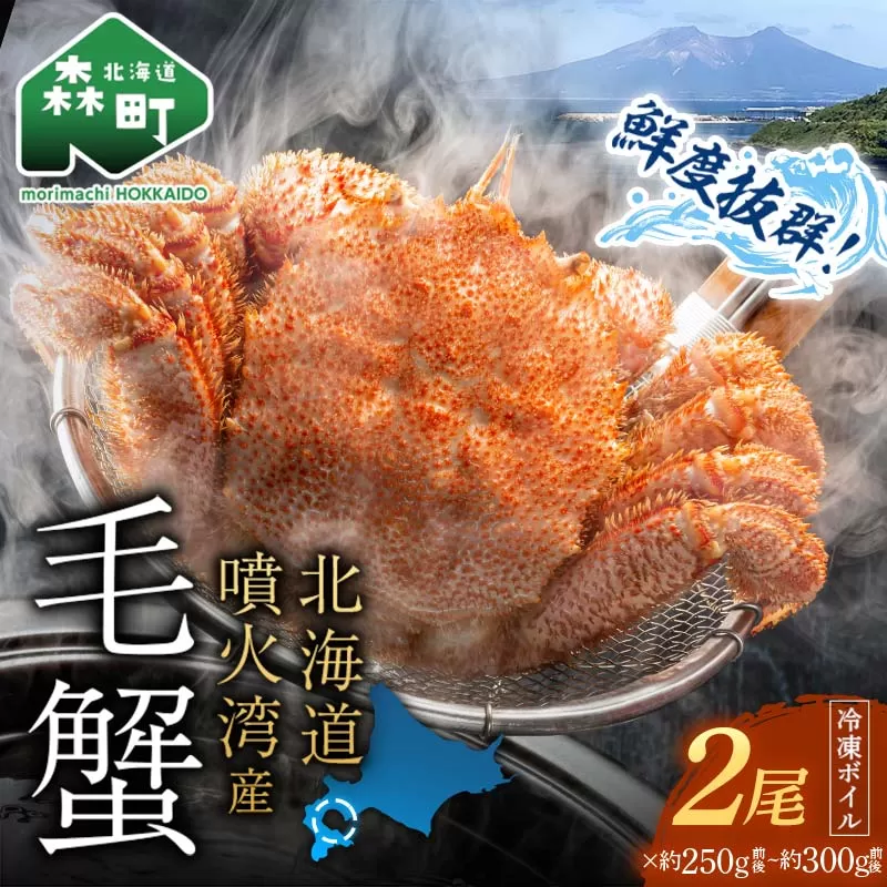 【訳あり】北海道・噴火湾産冷凍ボイル毛ガニ約250g前後〜約300g前後×2尾 新物 2025年6月〜7月水揚げ 毛ガニ 毛カニ 蟹 かに かにみそ 海産物 海鮮 森町  mr1-1045