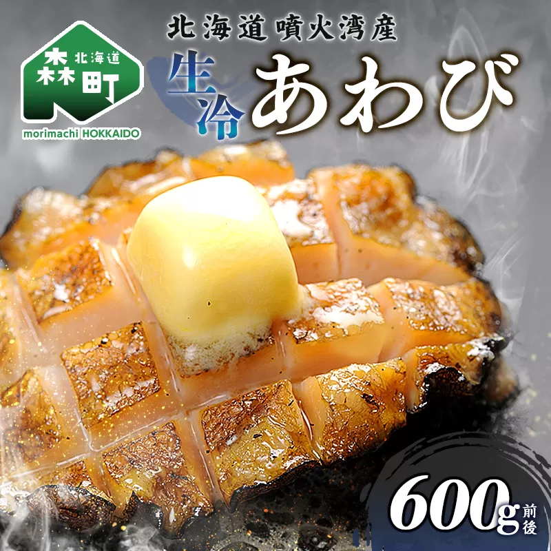 北海道産 生冷あわび 600g前後 (約5~6個) ＜ワイエスフーズ＞ 北海道 あわび 新鮮 魚介類 貝 冷凍 北海道噴火湾産 噴火湾産 森町 お刺身 バター焼き 酒蒸し 炊き込みご飯 mr1-1268