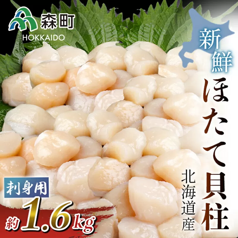 北海道産!新鮮・刺身用1.6kgの貝柱＜海鮮問屋　株式会社　瑞宝＞ 海鮮丼 森町 ほたて 帆立 ホタテ 海産物 魚貝類 ふるさと納税 北海道 mr1-0550