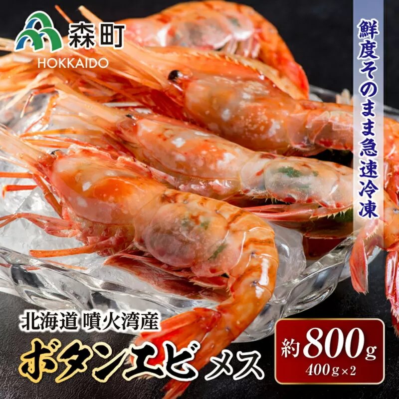 北海道噴火湾産ボタンエビメス400g×2＜森水産加工業協同組合＞ えび エビ 海老 ぼたんえび ぼたん海老 ボタン海老 ボタンエビ ぼたんエビ ボタンえび  北海道 森町 ふるさと納税 北海道 mr1-0119