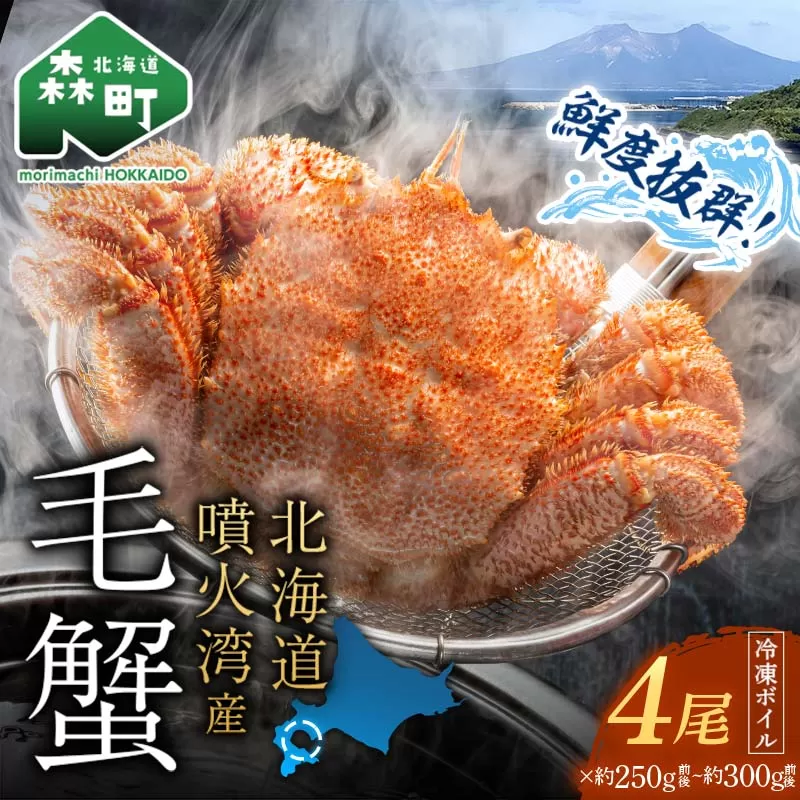 【訳あり】北海道・噴火湾産冷凍ボイル毛ガニ約250g前後〜約300g前後×4尾 新物 2025年6月〜7月水揚げ 毛ガニ 毛カニ 蟹 かに かにみそ 海産物 海鮮 森町  mr1-1047