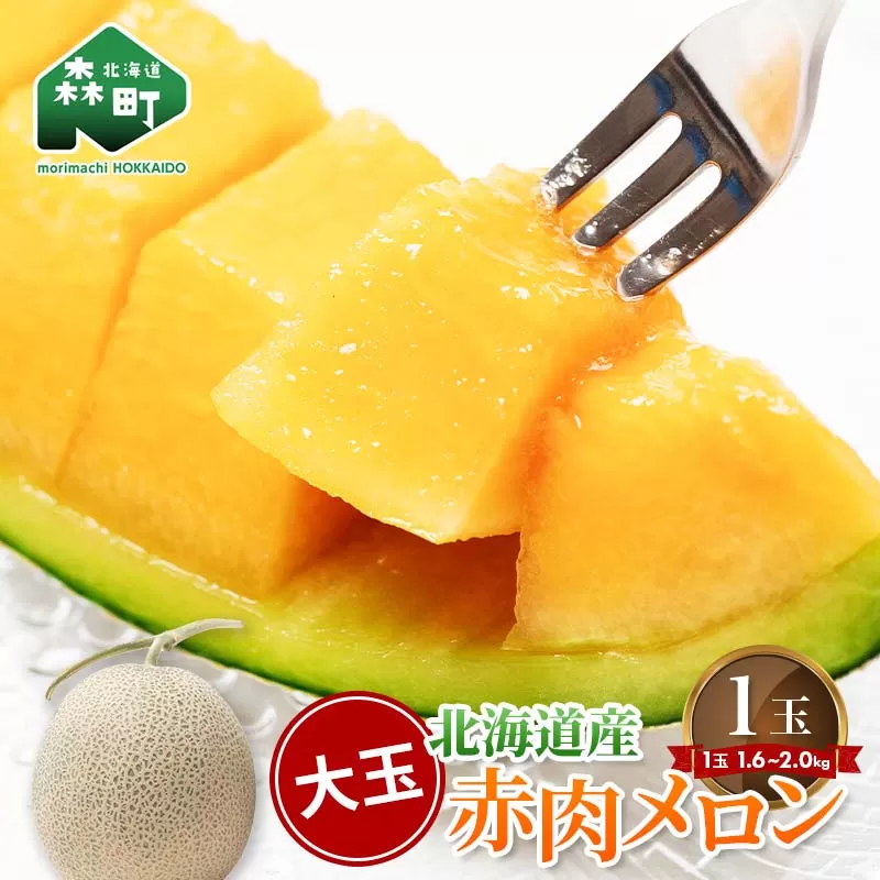 【先行予約】北海道森町産赤肉メロン大玉 1玉（約1.6～2kg）（2025年6月上旬～8月上旬頃順次発送）＜道産ネットミツハシ＞  森町 メロン 果物 赤肉 北海道産 ふるさと納税 北海道 mr1-0815
