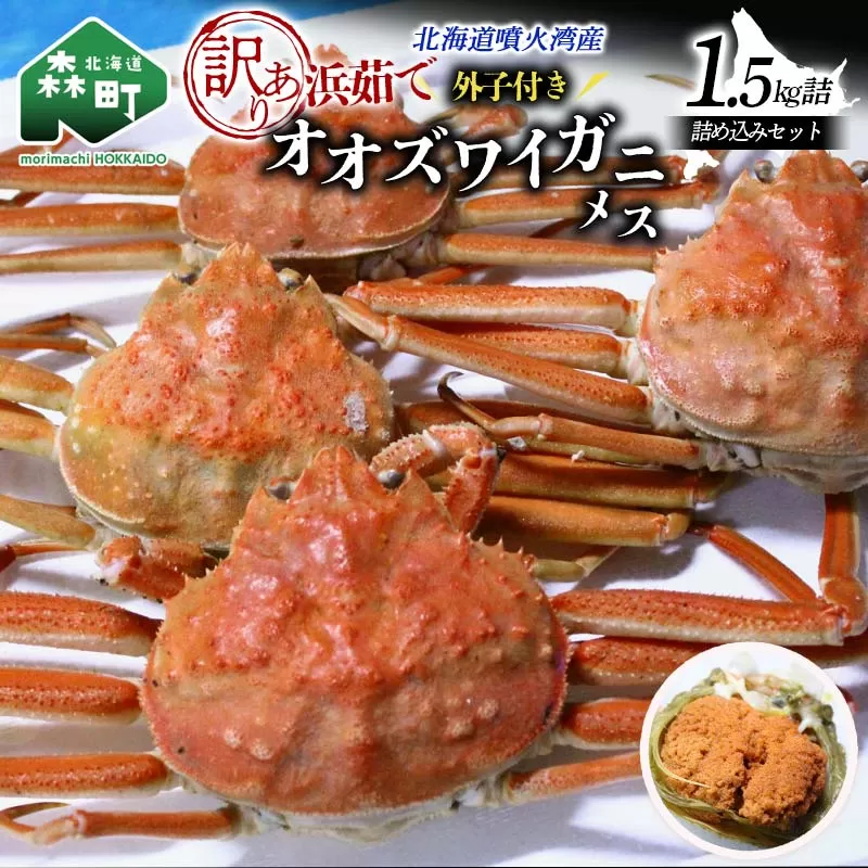 【訳あり】浜茹でオオズワイガニのメス（外子付き）1.5kg 詰め込みセット 北海道噴火湾産 ＜道産ネットミツハシ＞ かに カニ 蟹 がに 北海道 森町 ふるさと納税 mr1-1382