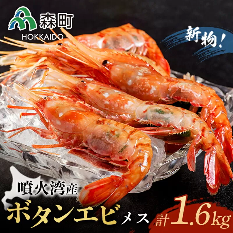 『新物』北海道噴火湾産冷凍ボタンエビメス（約400g×4） ＜森水産加工業協同組合＞ えび エビ 海老 ぼたんえび ぼたん海老 ボタン海老 ボタンエビ ぼたんエビ 牡丹海老 北海道 森町 ふるさと納税 北海道 mr1-0118