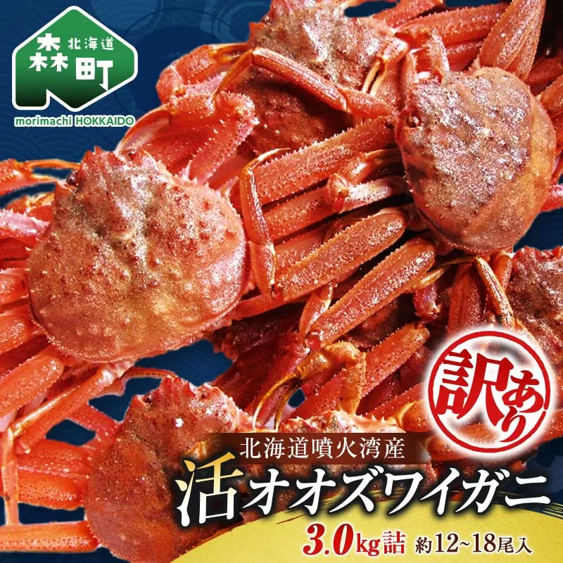 【訳あり】北海道噴火湾産 活オオズワイガニ 3.0kg ＜道産ネットミツハシ＞ かに カニ 蟹 ガニ がに 森町 ふるさと納税 北海道 ずわいがに mr1-0451-5