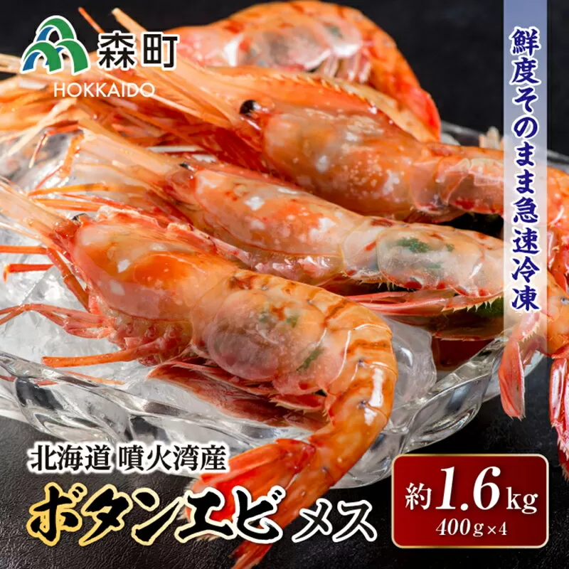 北海道噴火湾産ボタンエビメス400g×4＜海鮮問屋　株式会社　瑞宝＞ えび エビ 海老 ぼたんえび ぼたん海老 ボタン海老 ボタンエビ ぼたんエビ ボタンえび 牡丹海老 北海道 森町 ふるさと納税 北海道 mr1-0531