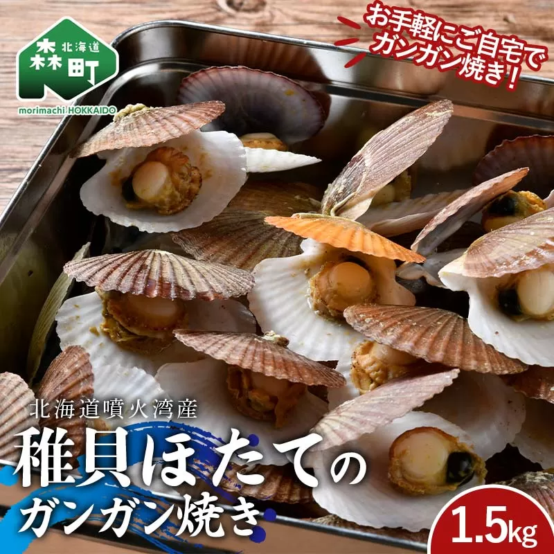 北海道噴火湾産 稚貝ほたてのガンガン焼き 1.5kg 海産物 加工品 ほたて 帆立 ホタテ 魚介類 海鮮 森町 ふるさと納税 mr1-0981