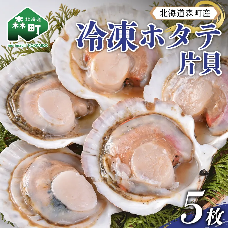 北海道森町産 冷凍ホタテ 片貝5枚（14cm前後）  mr1-1385
