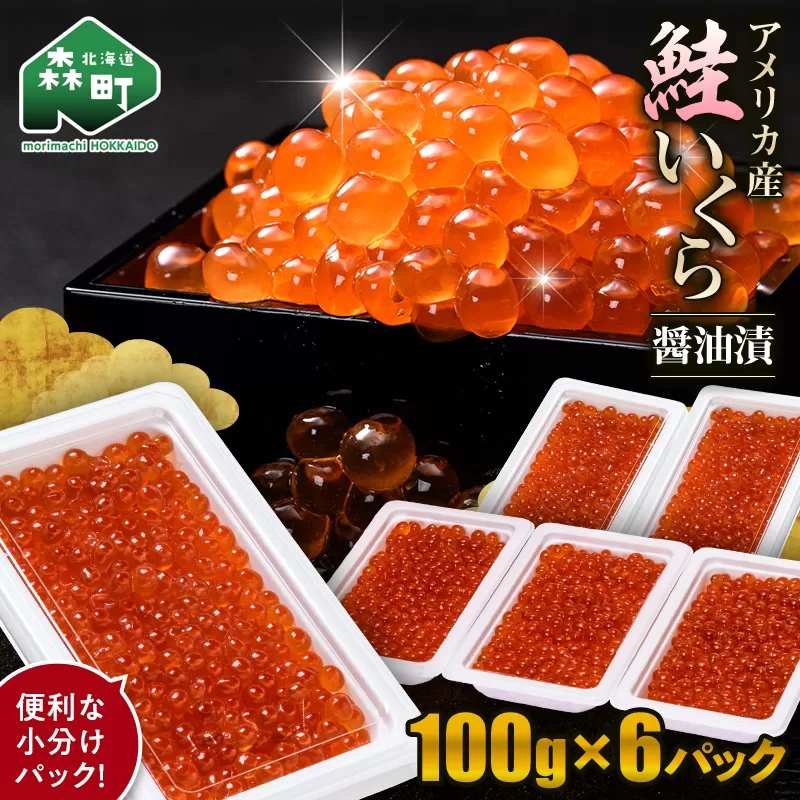 鮭 いくら 小分け 600g（100g×6）アメリカ産 ＜海鮮問屋　株式会社　瑞宝＞ いくら醤油漬け いくら イクラ しょうゆ漬け 海産物 加工品 森町 ふるさと納税 北海道 mr1-1236