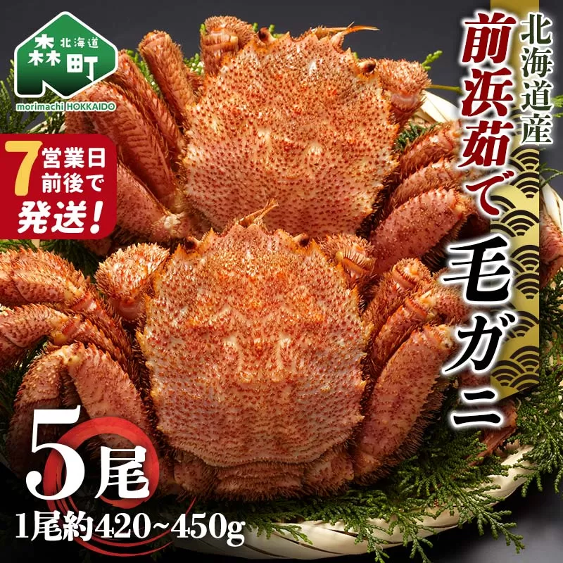 【7営業日前後で発送】北海道 毛ガニ 前浜茹で毛がに 約420g〜450g 5尾 かに カニ 蟹 ガニ がに 森町 毛蟹 毛かに 毛がに 毛カニ 毛ガニ mr1-1041