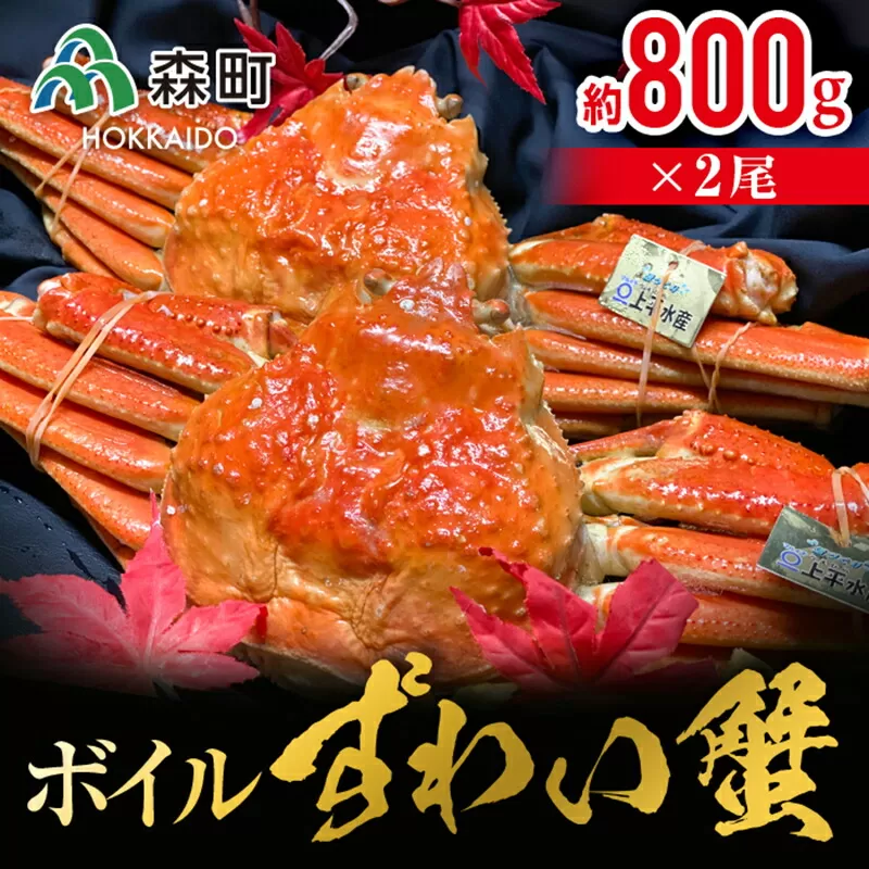 ボイルずわい蟹（約800g×2尾） ＜上平水産＞ かに カニ 蟹 ガニ がに 森町 ふるさと納税 北海道 ずわい蟹 ずわいかに ズワイガニ ズワイカニ mr1-0134