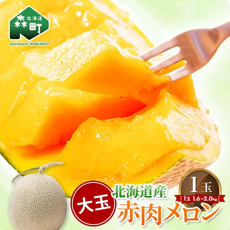 【先行予約】北海道森町産赤肉メロン大玉 1玉（約1.6～2kg）（2025年6月上旬～8月上旬頃順次発送）＜道産ネットミツハシ＞  森町 メロン 果物 赤肉 北海道産 ふるさと納税 北海道 mr1-0815