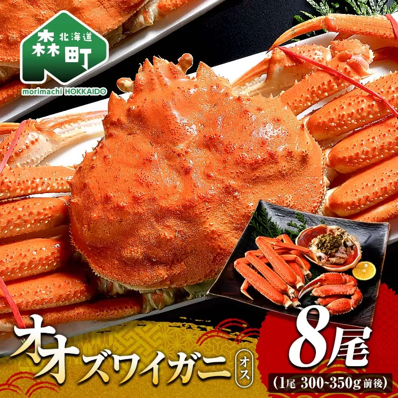 オオズワイガニ オス姿 8尾 300〜350g前後×8尾 ＜海鮮問屋　株式会社　瑞宝＞ かに カニ 蟹 ガニ がに 海鮮 森町 北海道  mr1-1371