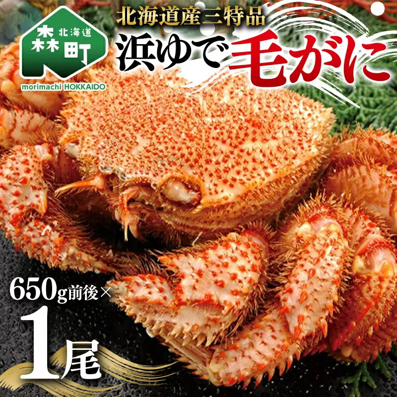 【北海道産三特品】浜ゆで毛がに 650g前後×1尾＜ワイエスフーズ＞ かに カニ 蟹 ガニ がに 森町 ふるさと納税 北海道 毛蟹 毛かに 毛ガニ 毛カニ mr1-0431