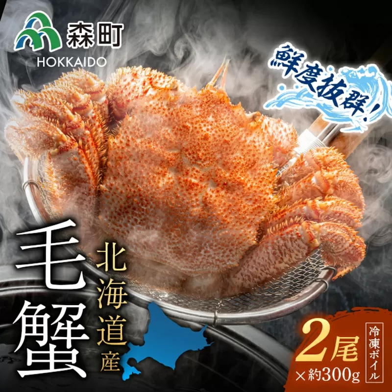 北海道産 冷凍ボイル毛ガニ 300g前後×2尾 ＜海鮮問屋　株式会社　瑞宝＞ かに カニ 蟹 ガニ がに 森町 ふるさと納税 北海道 毛蟹 毛かに 毛ガニ 毛カニ mr1-0617