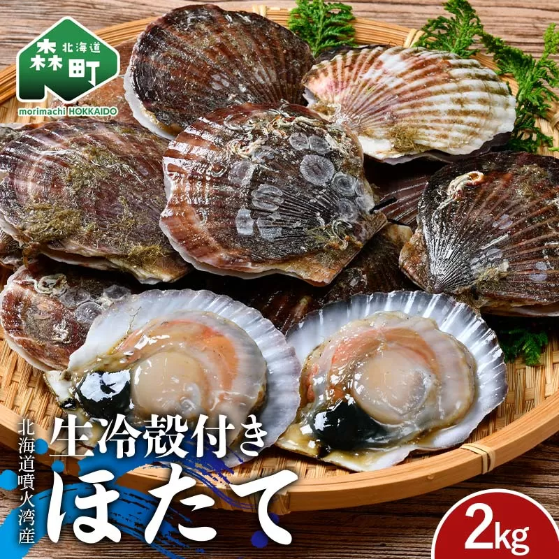 北海道噴火湾産 殻付きほたて(二年貝) 2kg 海産物 加工品 ほたて 帆立 ホタテ 魚介類 海鮮 森町 ふるさと納税 mr1-0983